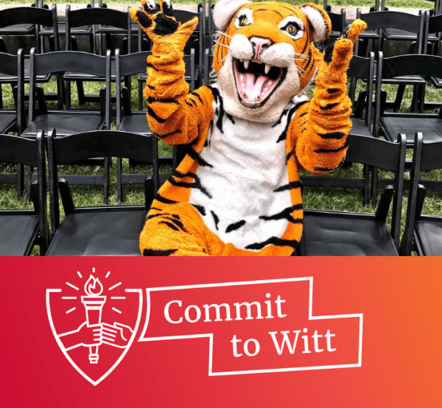 Commit to Witt