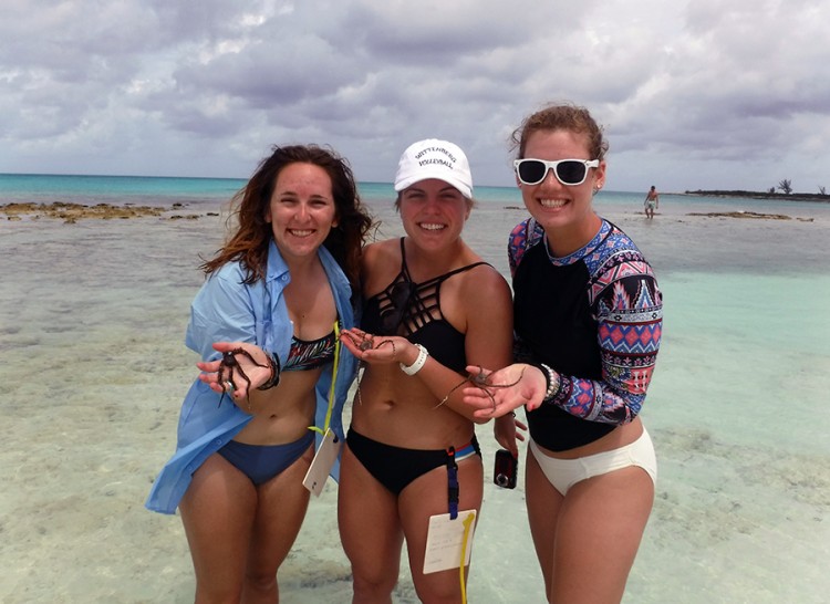Kaity, Madison, and Cora holding 3 brittle stars