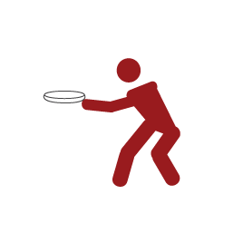Frisbee icon
