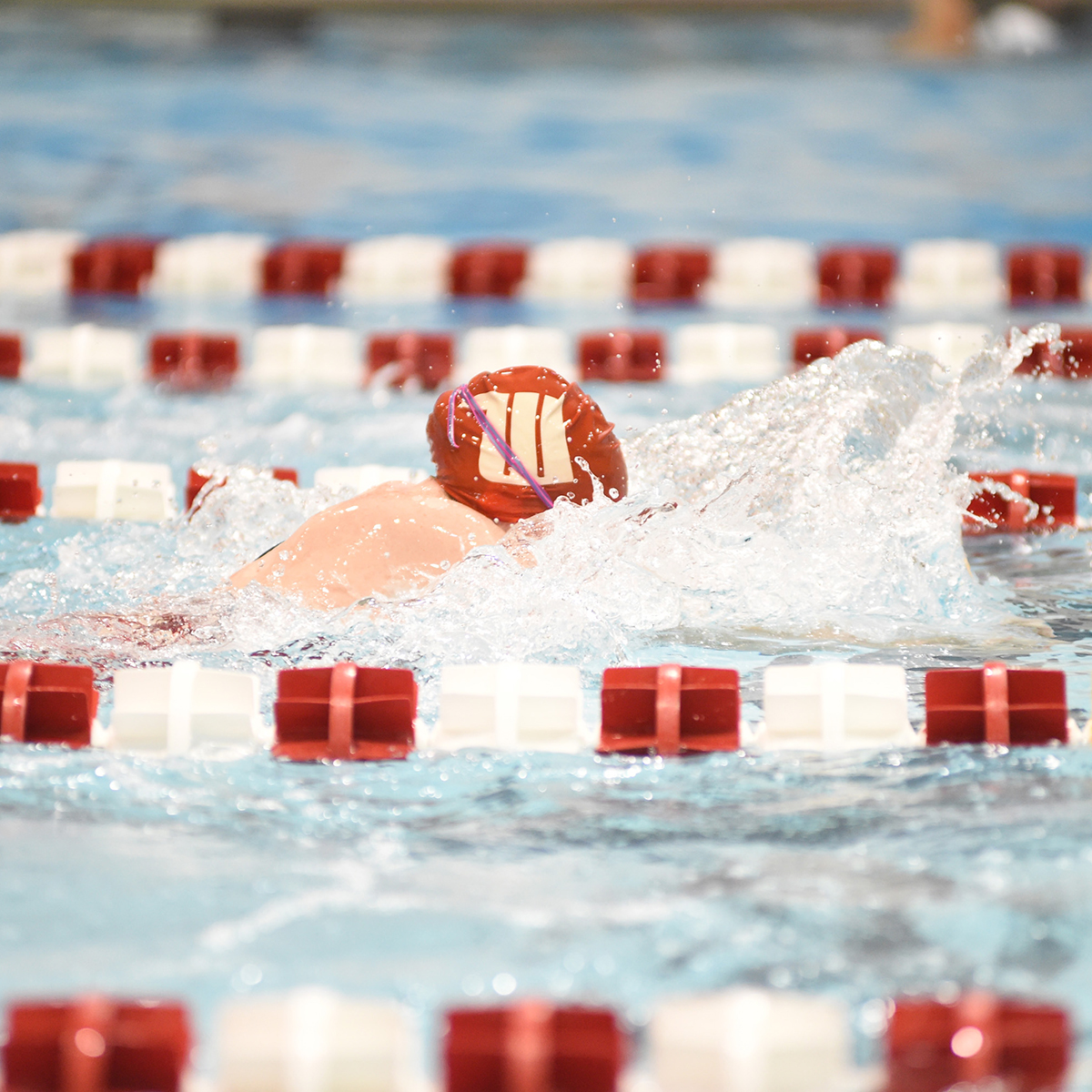 Women s swiming diving wittenberg university