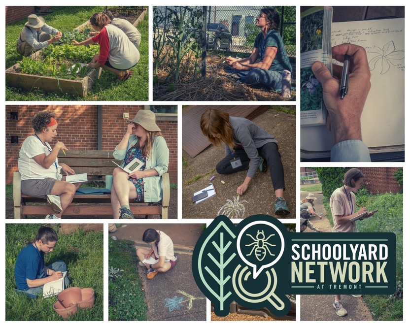 Schoolyard Network Flyer