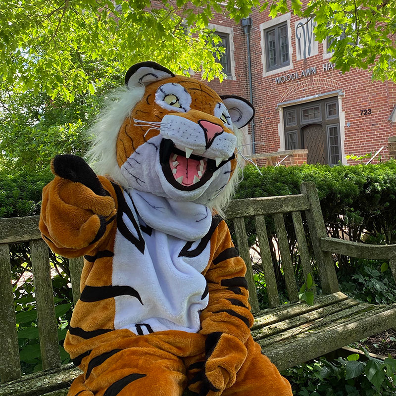 Ezry the Tiger