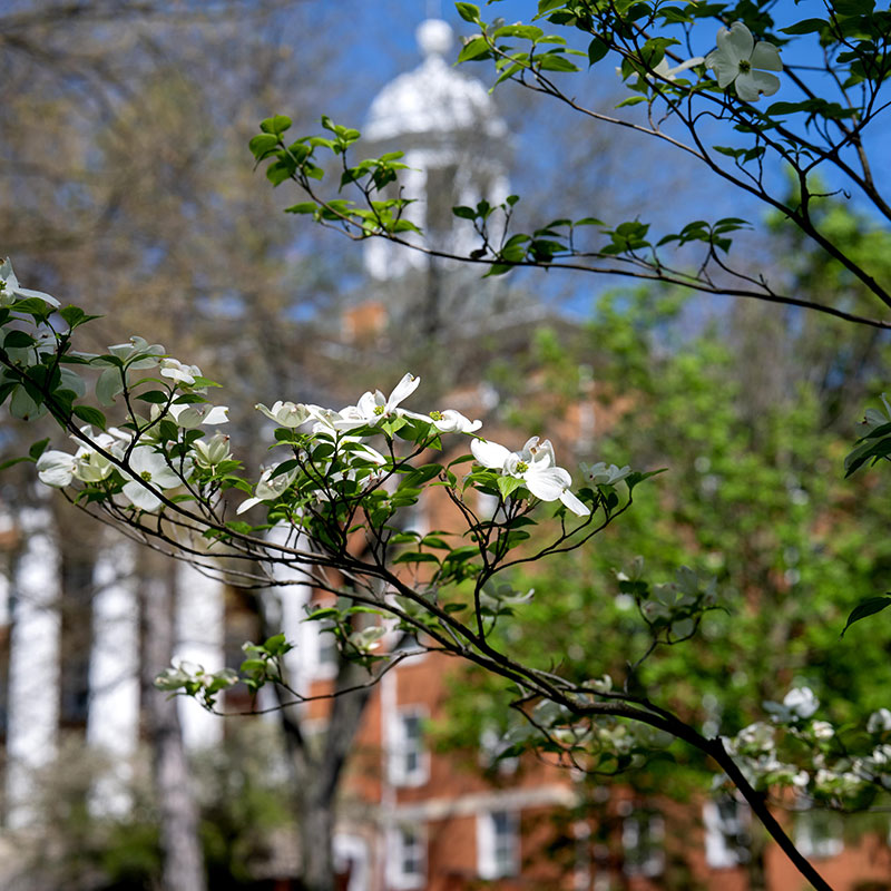 Myers Hall With Flowers In Spring