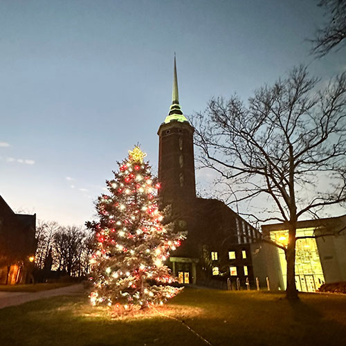 Christmas Tree Lighting