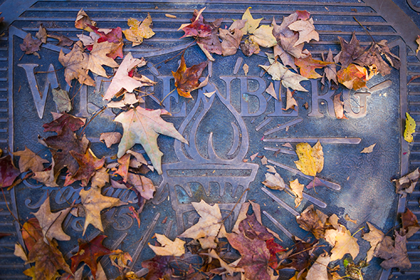 Wittenberg Seal in the Fall