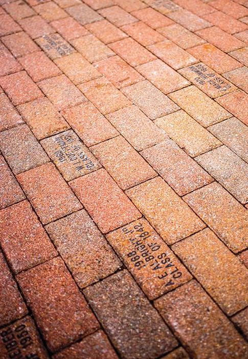 Alumni Bricks