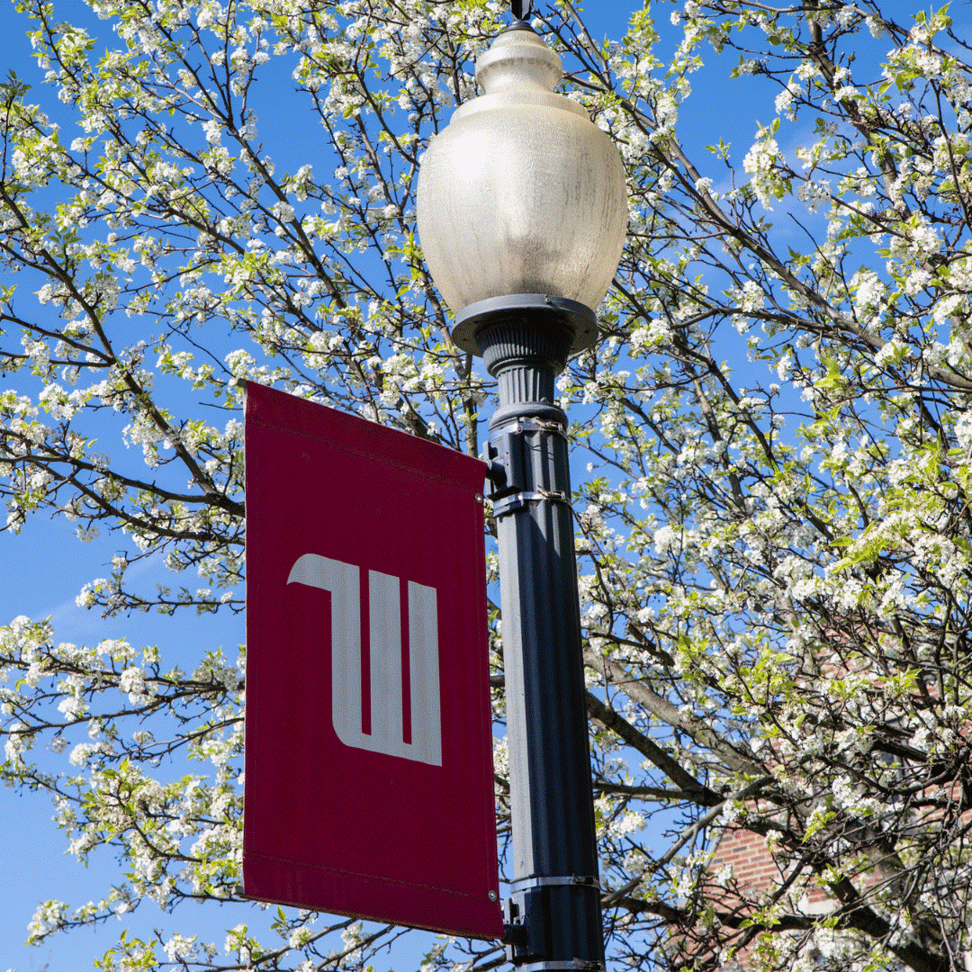 Wittenberg Banner
