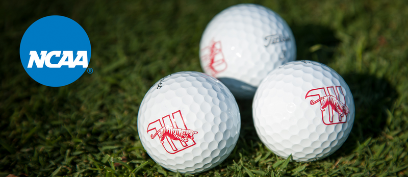 Wittenberg Golf Balls