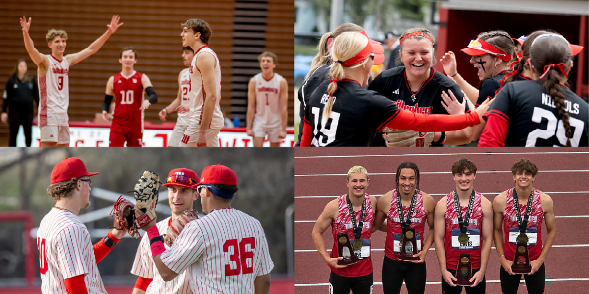 Spring Sports Collage Graphic