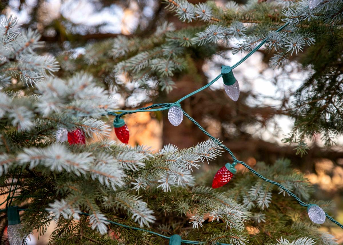 Holiday Tree Lights