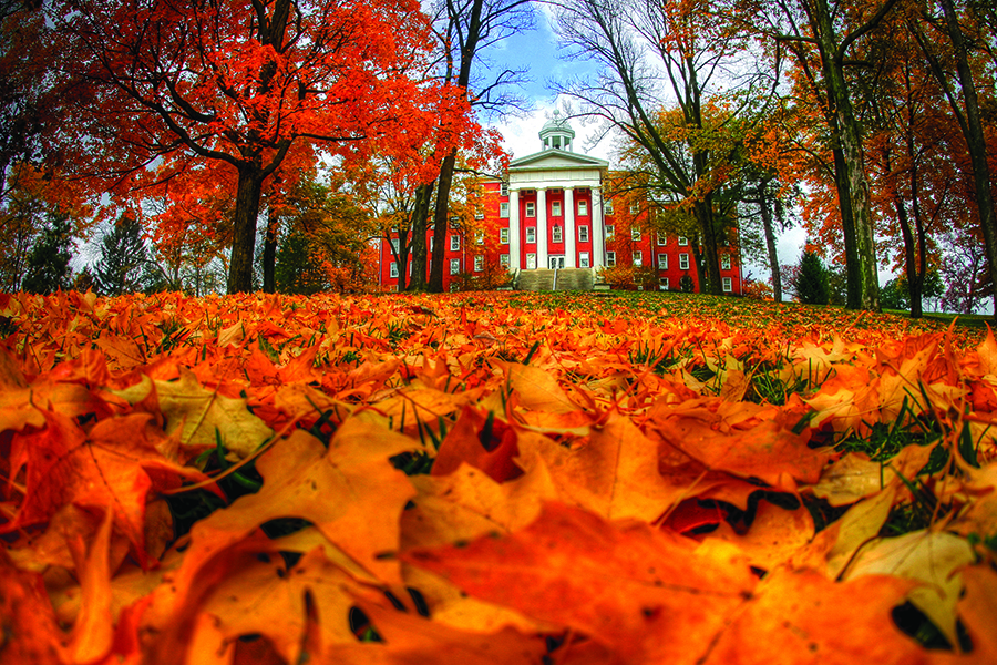 Wittenberg Trees