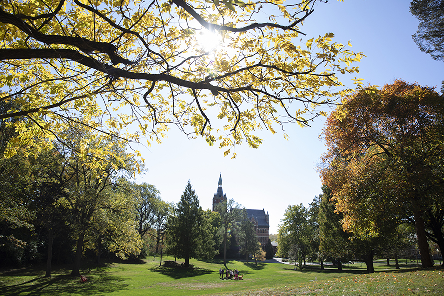 Wittenberg Trees