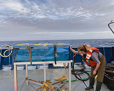 Hope Elliott Research Photo