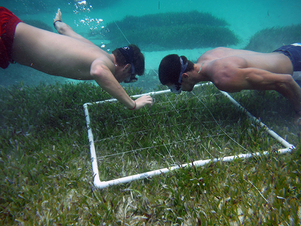 Students in Bahamas