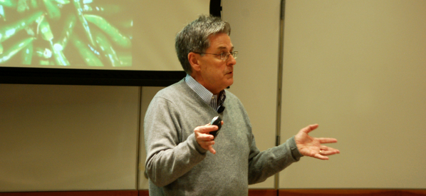 Rick Sterling