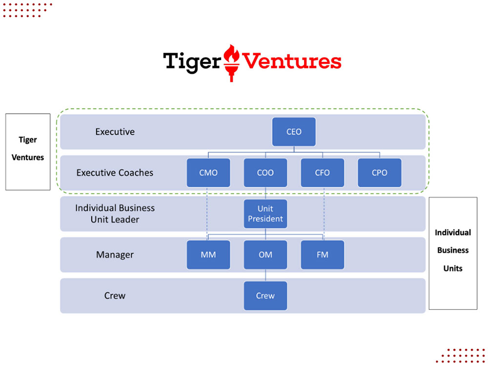 Tiger Ventures Org Chart