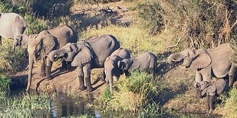 Wittenberg Student Trip to Lesotho 2025
