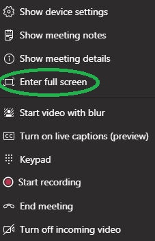 meeting full screen menu option