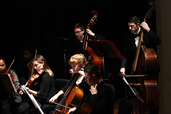 Chamber Orchestra