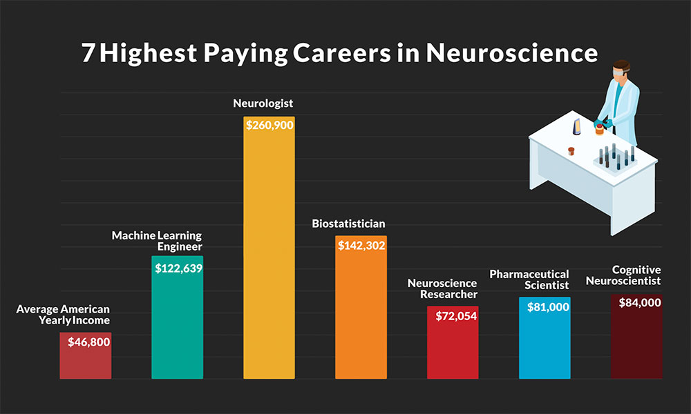 Neuroscience Graphic