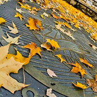 Wittenberg Seal in Fall