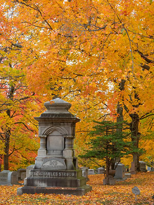 Ferncliff Cemetery