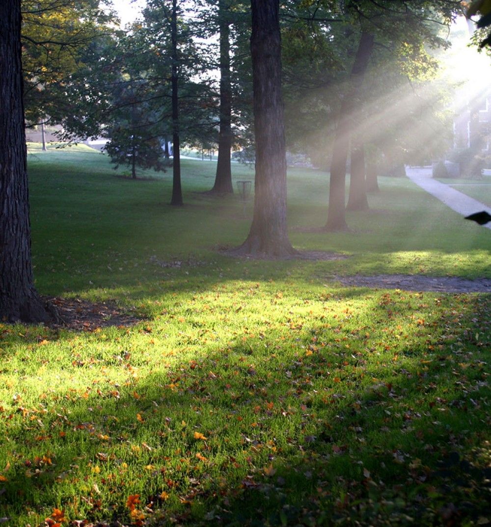 Wittenberg University Campus in the Morning