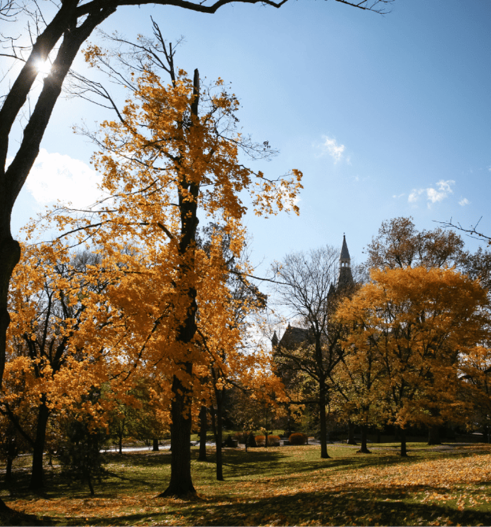 Recitation Hall Fall Light 