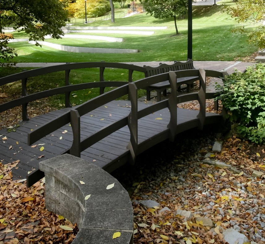 Kissing Bridge Fall