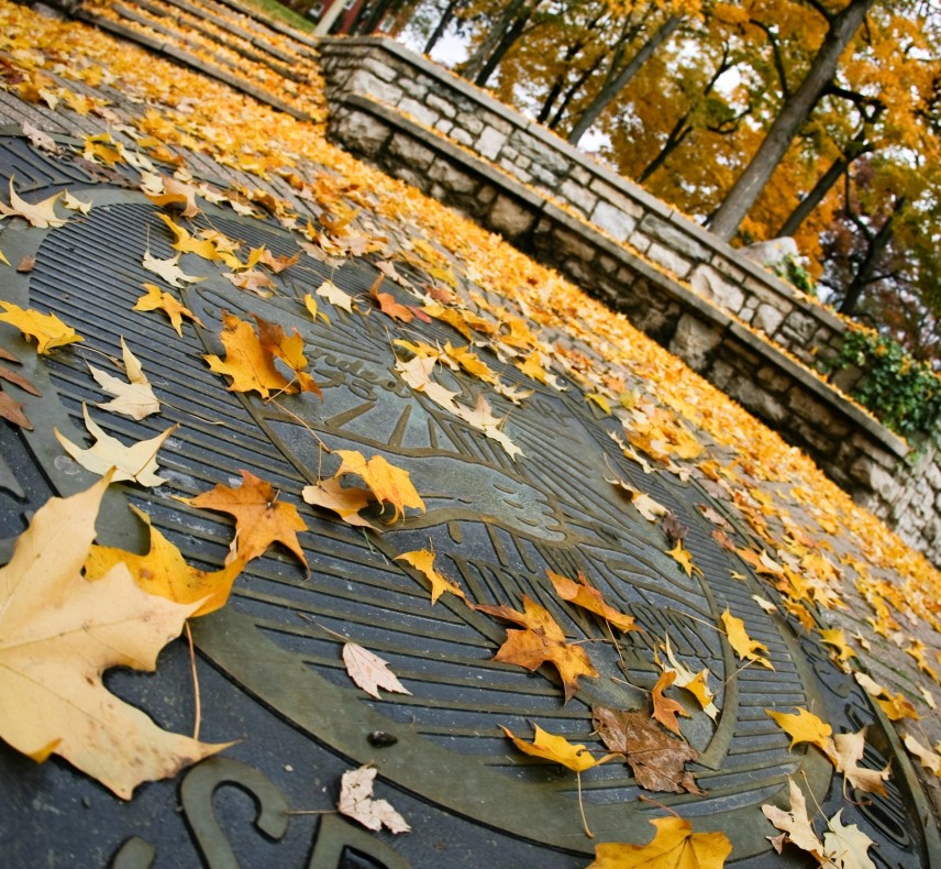 Wittenberg Seal Fall