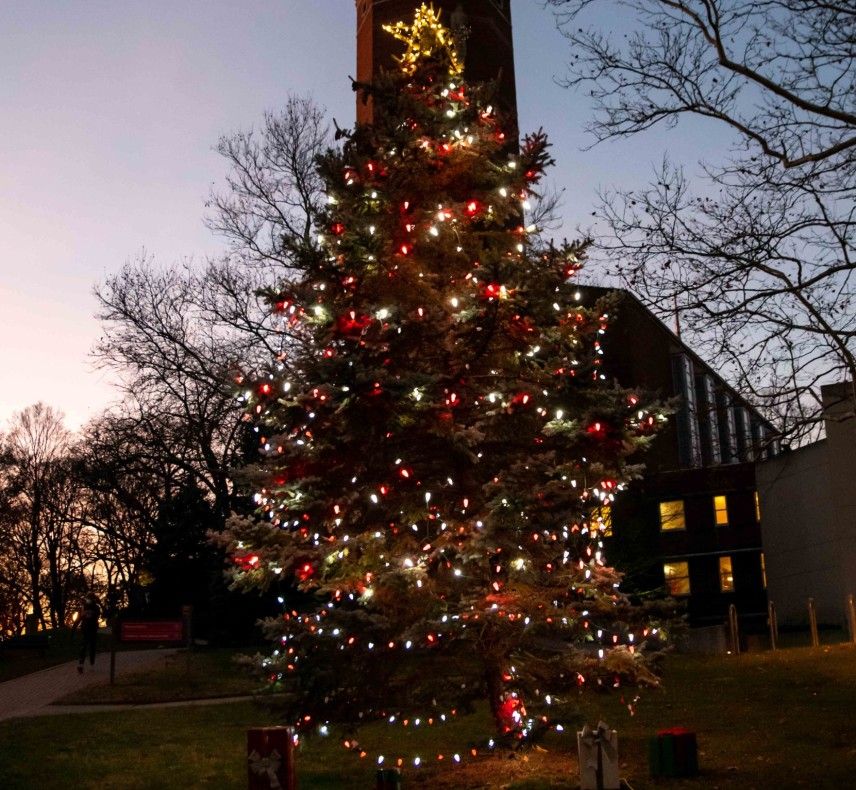 Wittenberg Christmas Tree