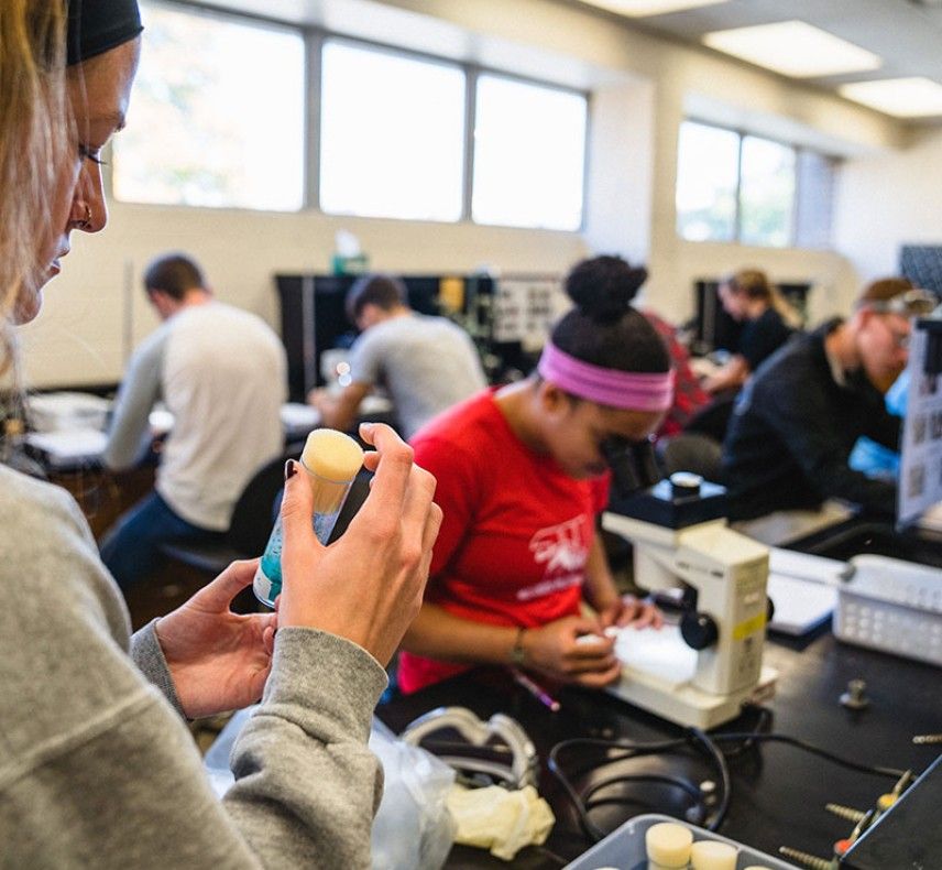 Wittenberg University Biology Students In Lab