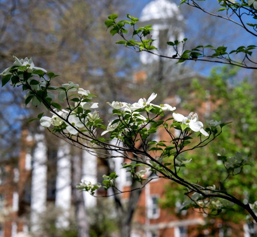 Wittenberg University Campus