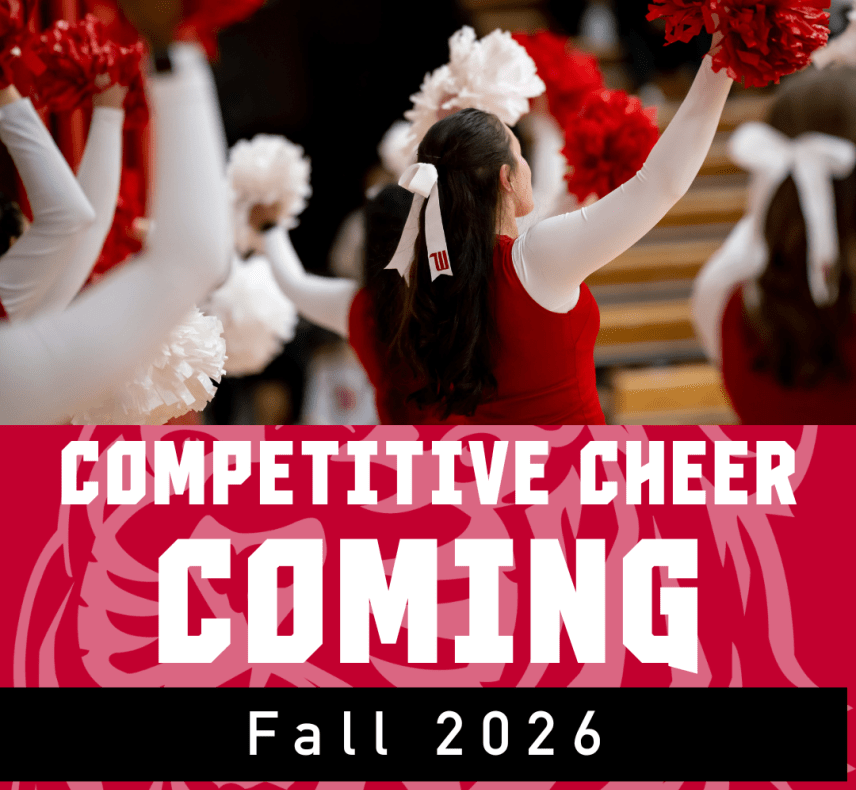 Wittenberg Cheerleading Graphic