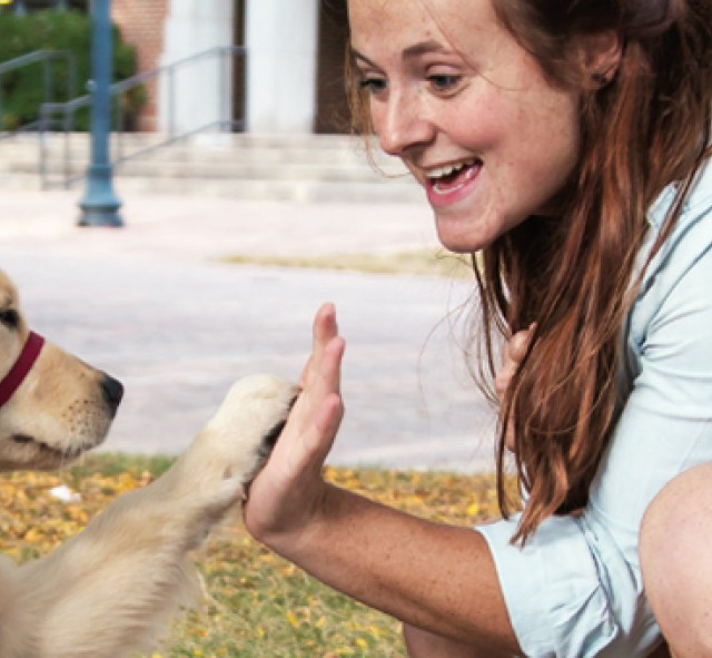 Dog Giving High Five 