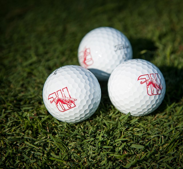 Witt Golf Balls