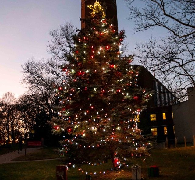 Tree Lighting