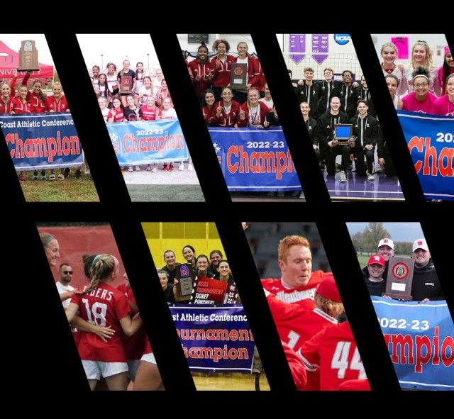 Wittenberg Sports Collage