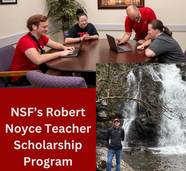 STEM educator pipeline 