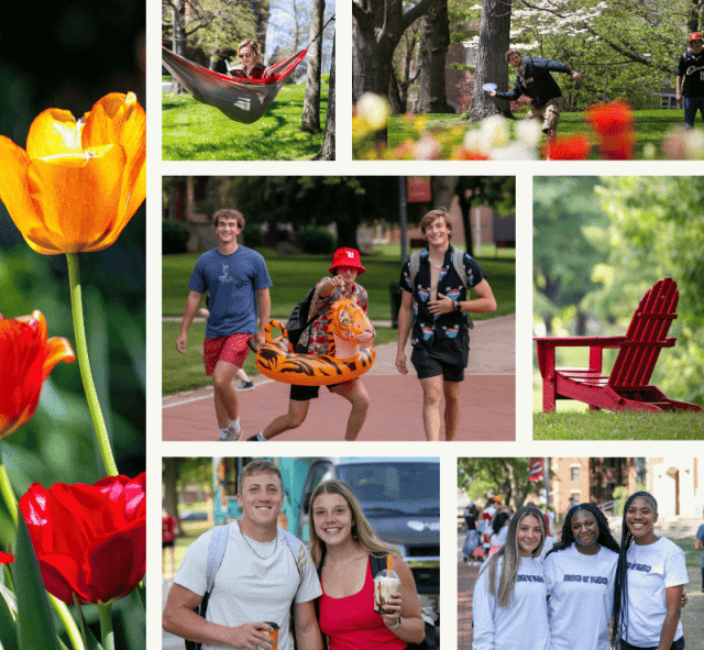 Summer-inspired images at Witt