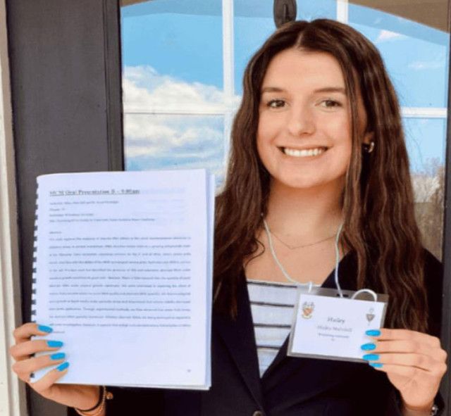 Summer Research Opportunities