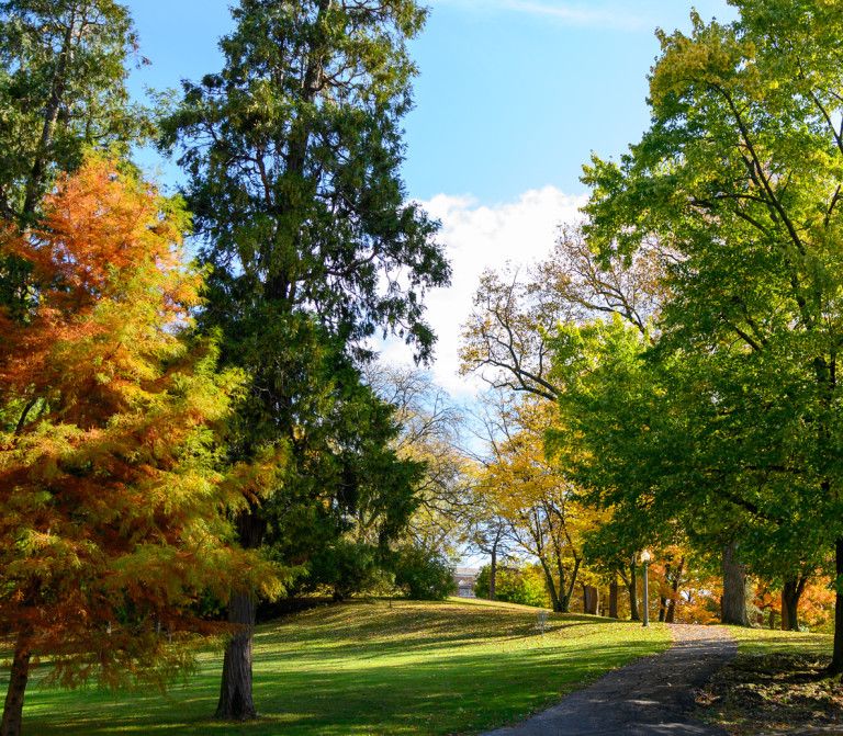 Where Beauty Fuels Creativity