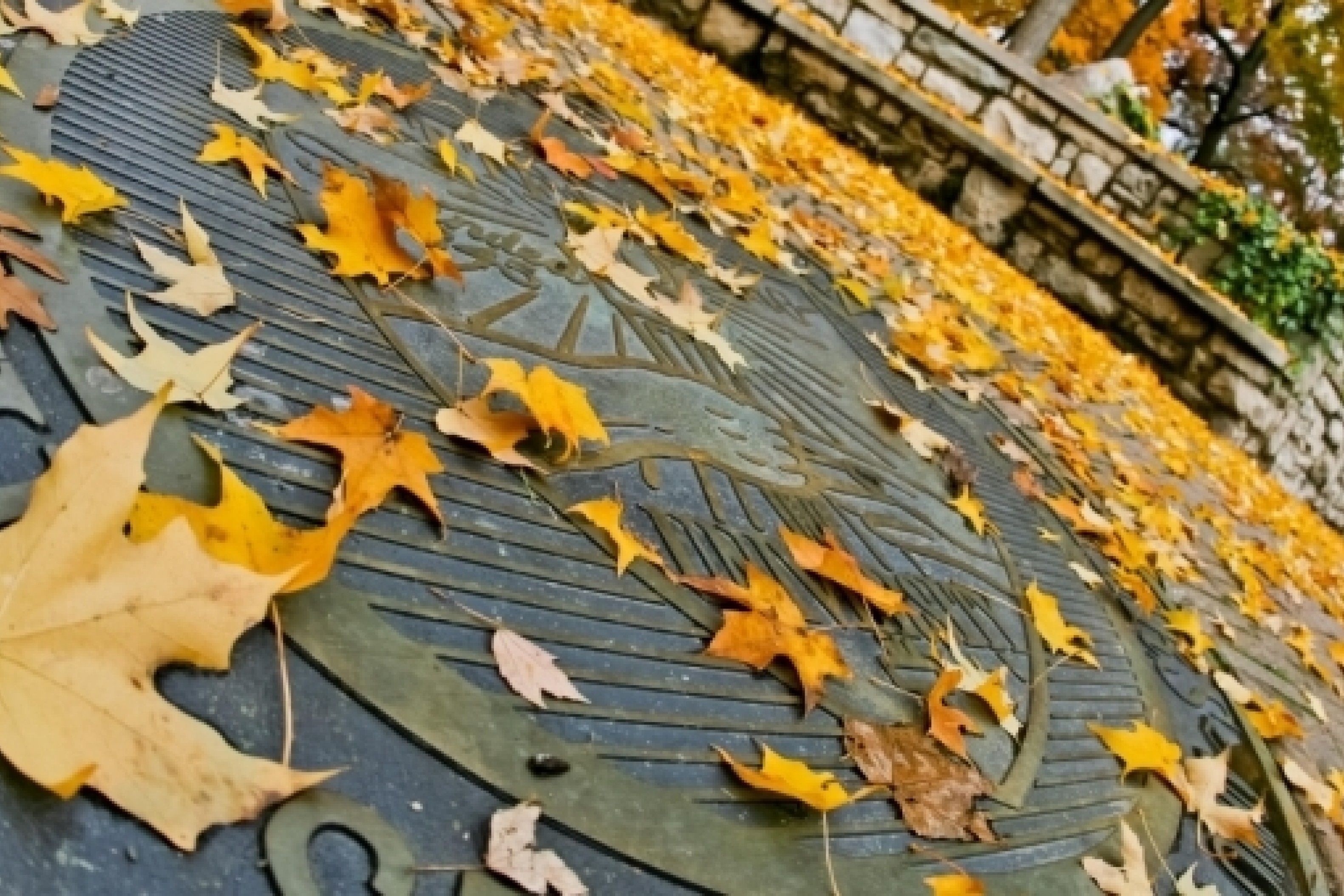 Best In The Business Wittenberg University