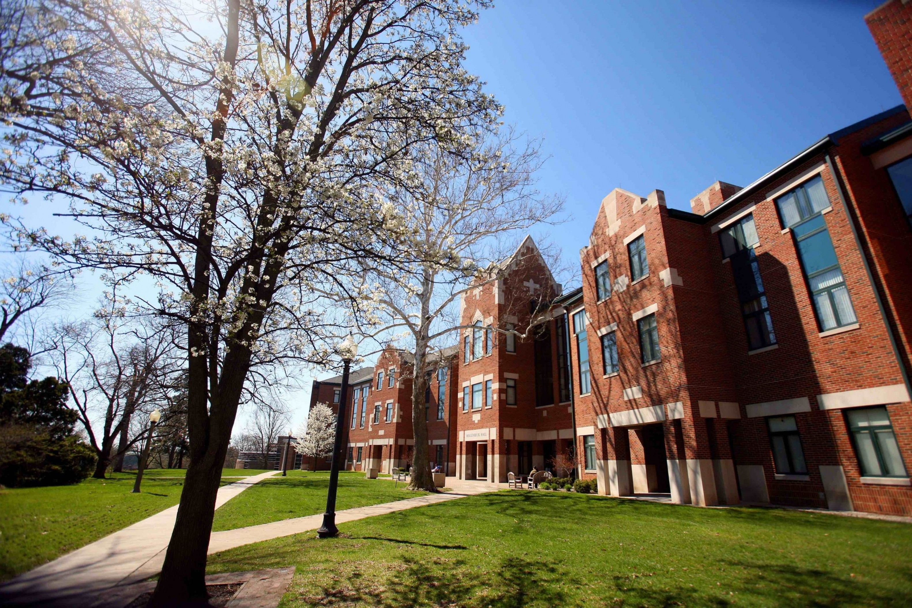 Earning Excellence in Communication Wittenberg University