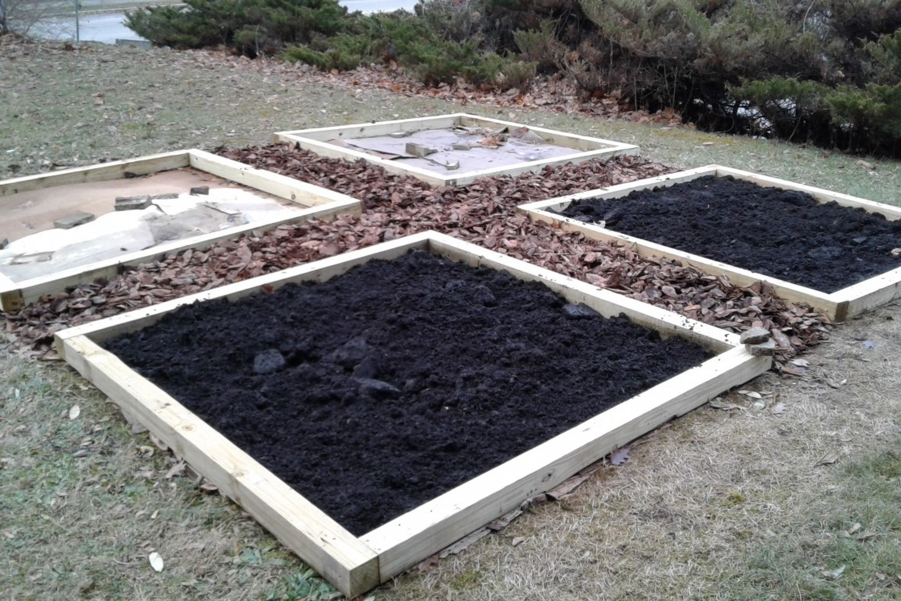 Planting Seeds of Learning Wittenberg University