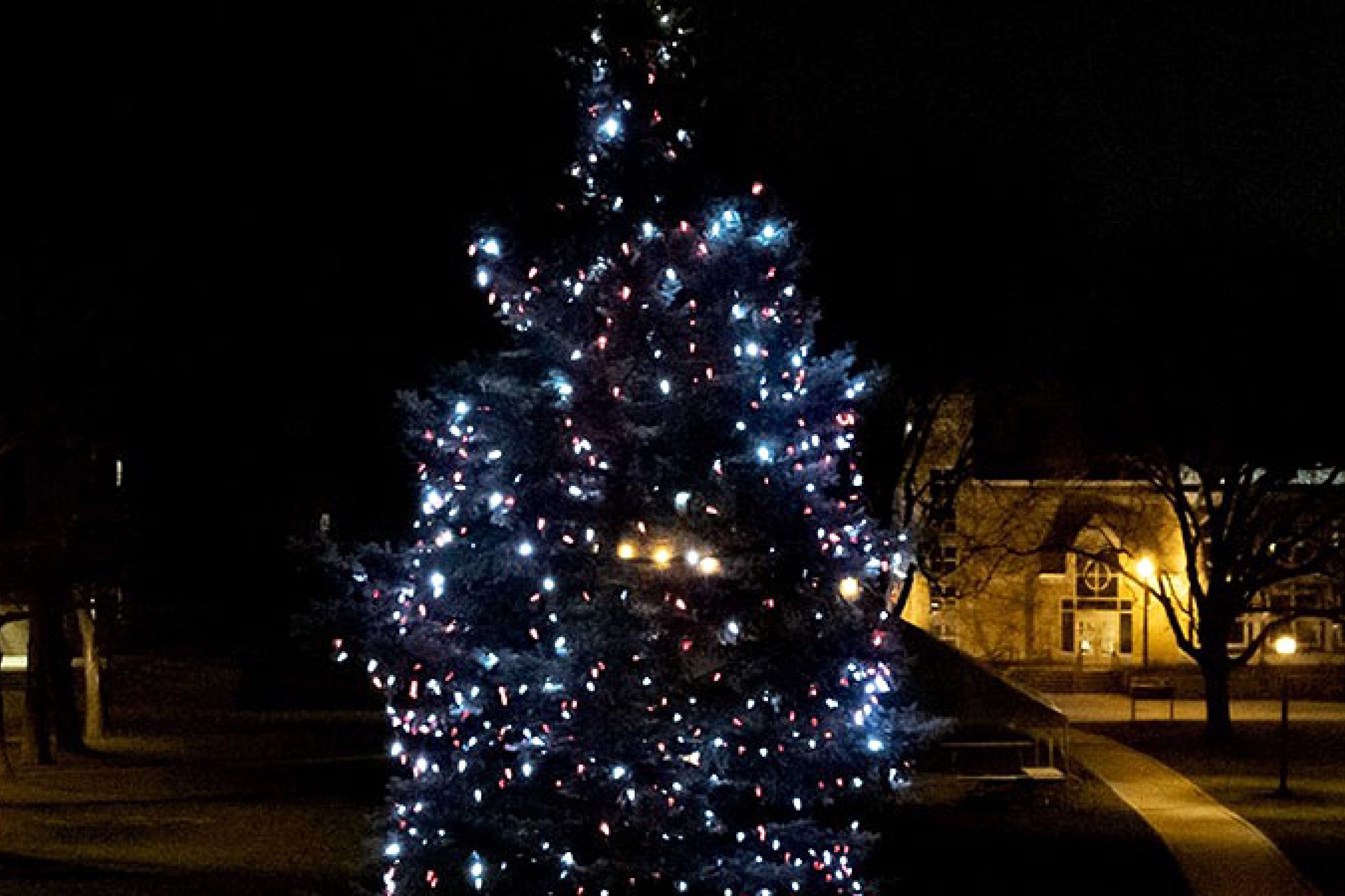 Illuminating the Holiday Season  Wittenberg University