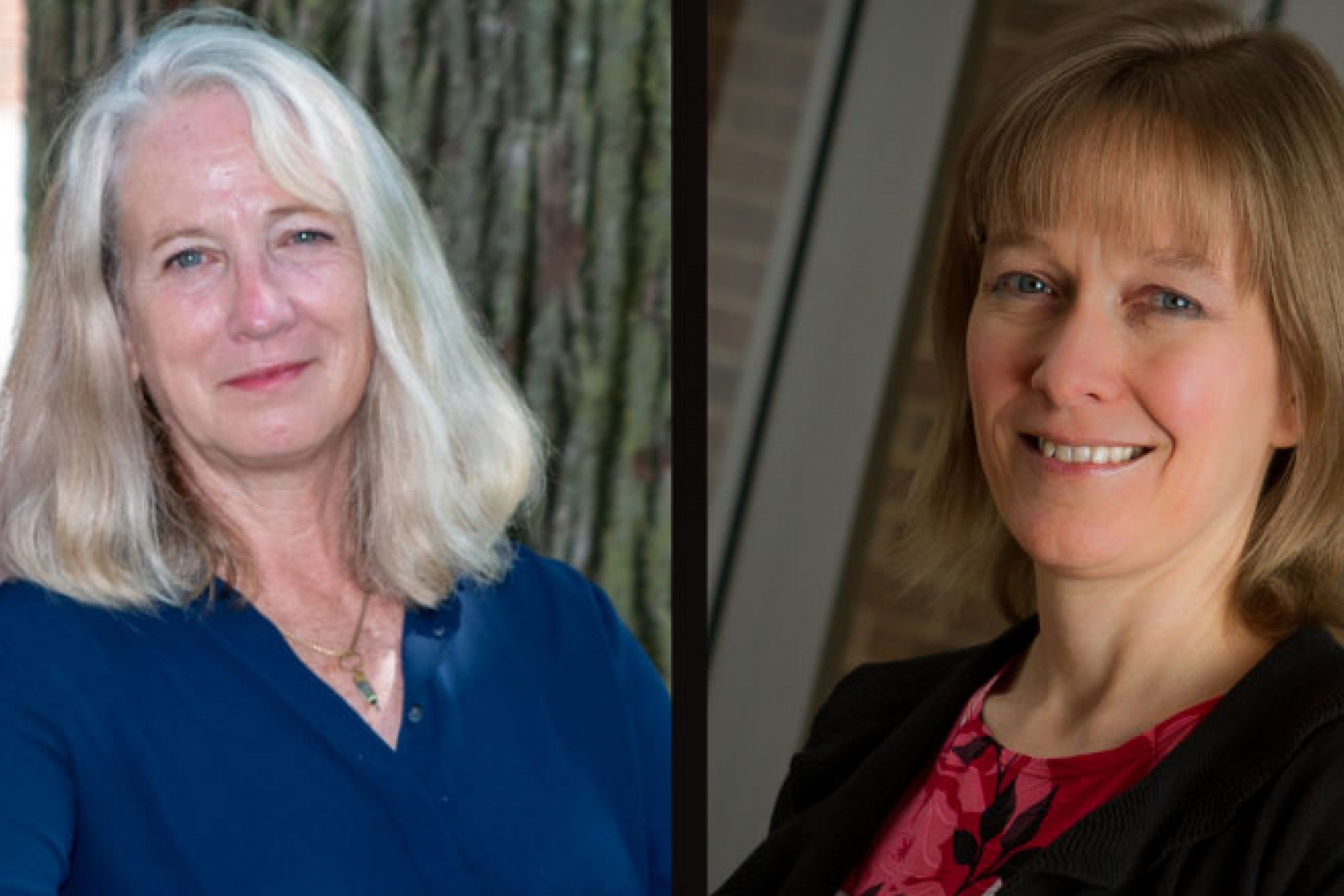 Wittenberg Announces Inaugural Veler and Barker Chairs Wittenberg