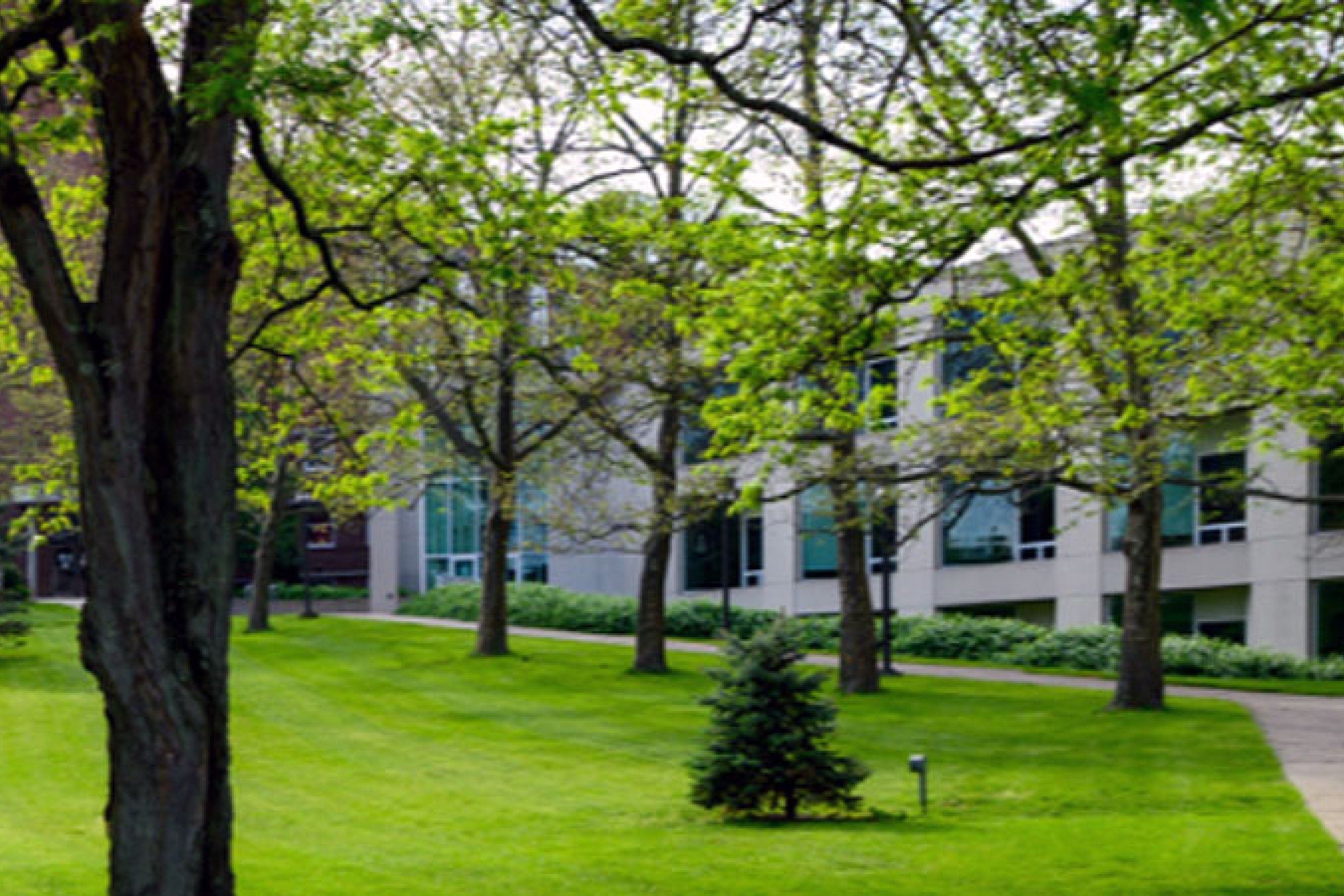 Open Access Wittenberg University