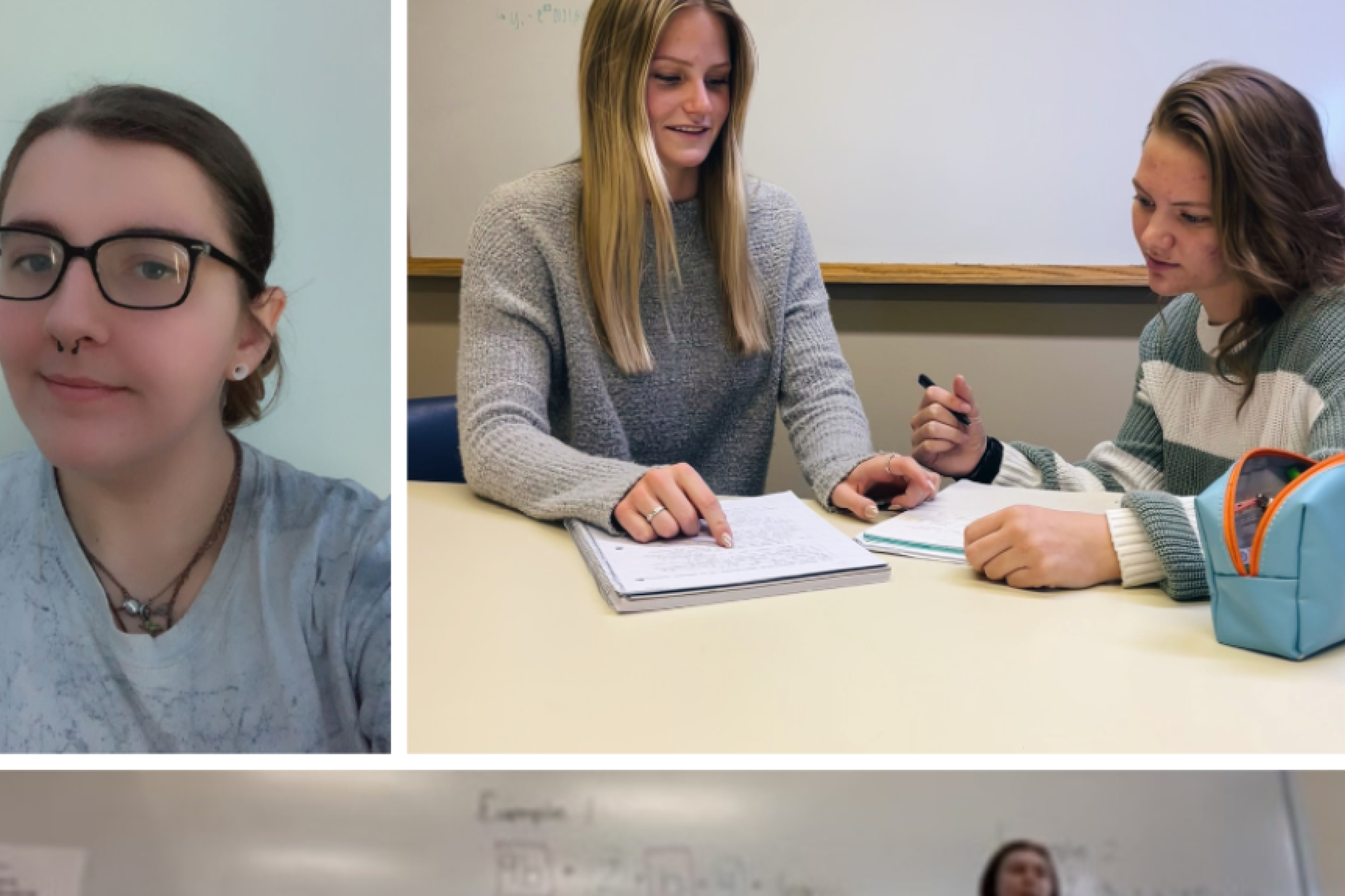 Robert Noyce Teacher Scholars Named Wittenberg University