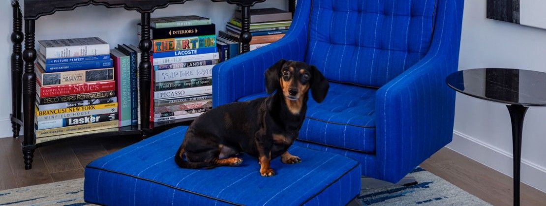 Home office with Scott's dachshund, Bailey